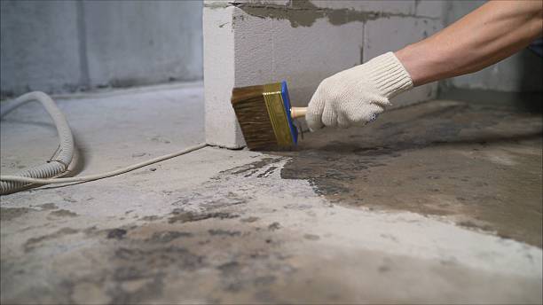 SJ Waterproofing Pros Basement Waterproofing coverage map for Grass Lake, MI and surrounding area